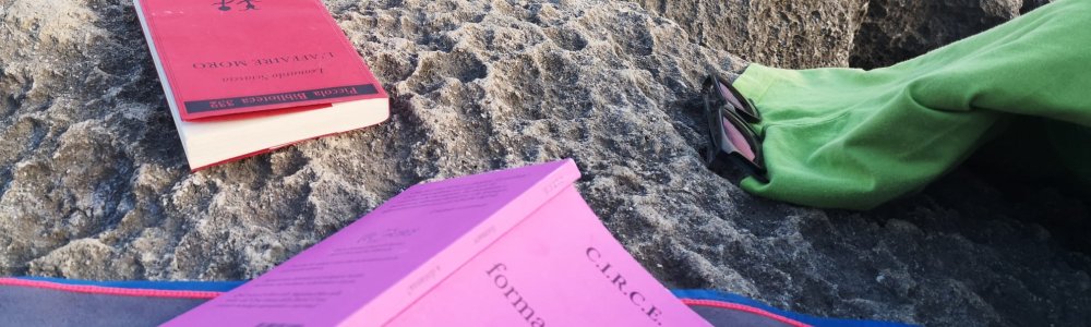 Intervista a proposito di  "Formare a Distanza?" su ROR