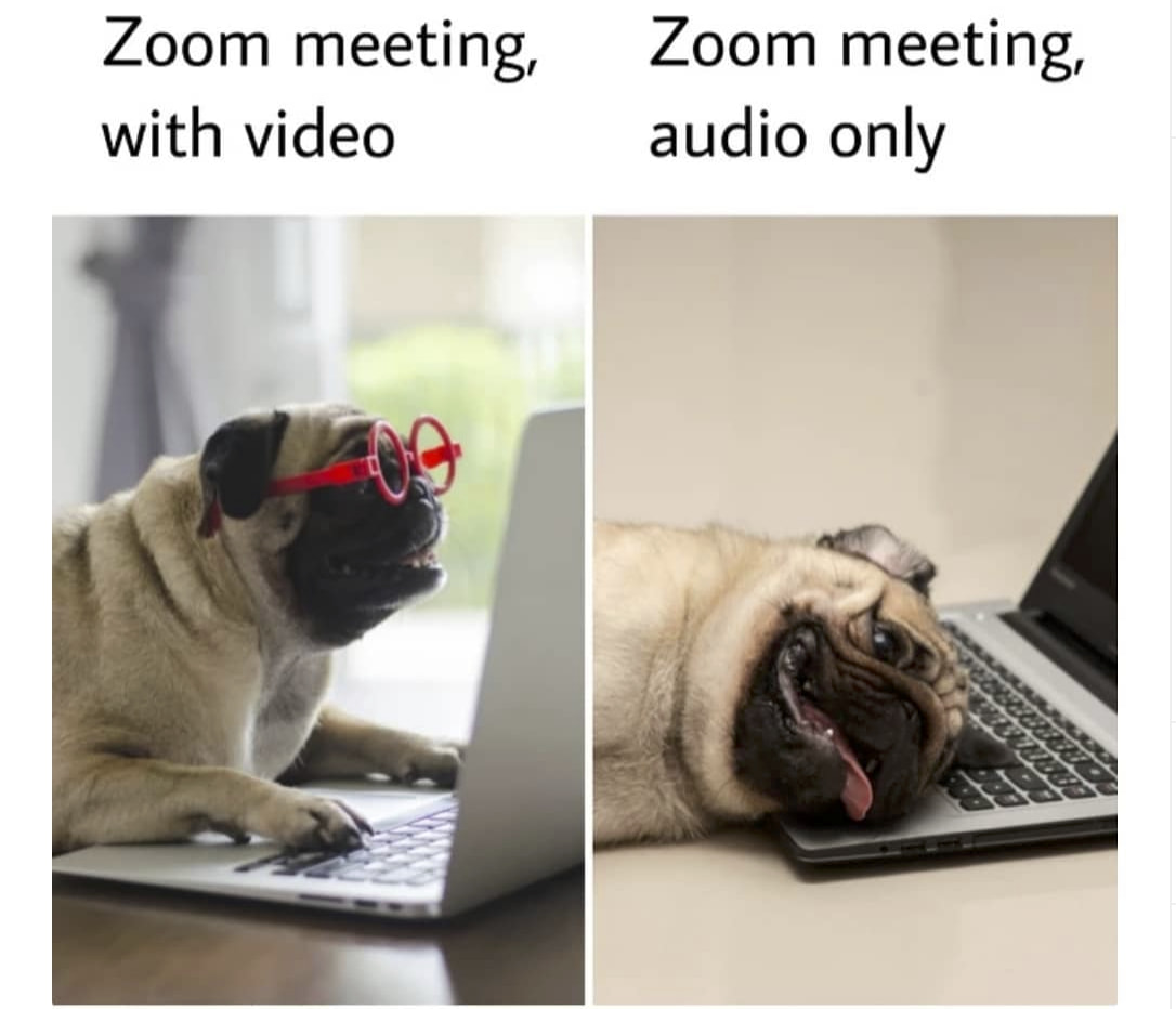 zoom meme